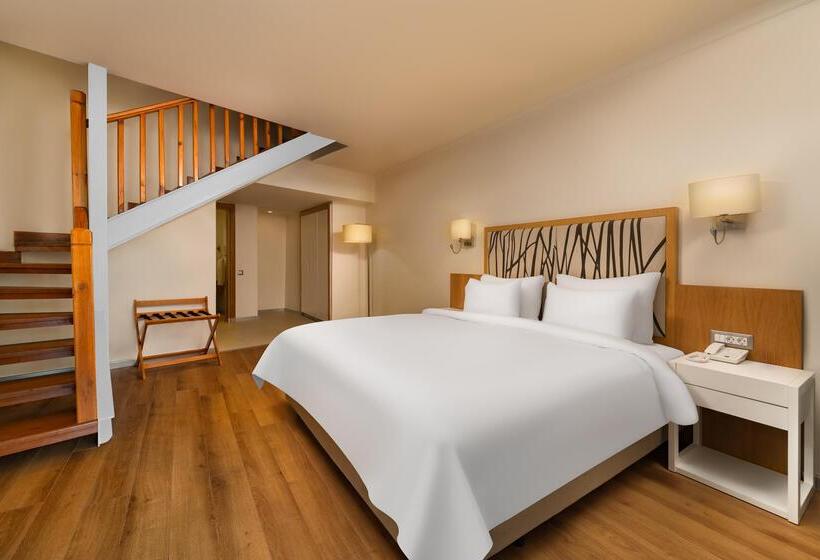 Семейный Номер, Rixos Park Belek, The Land of Legends Access