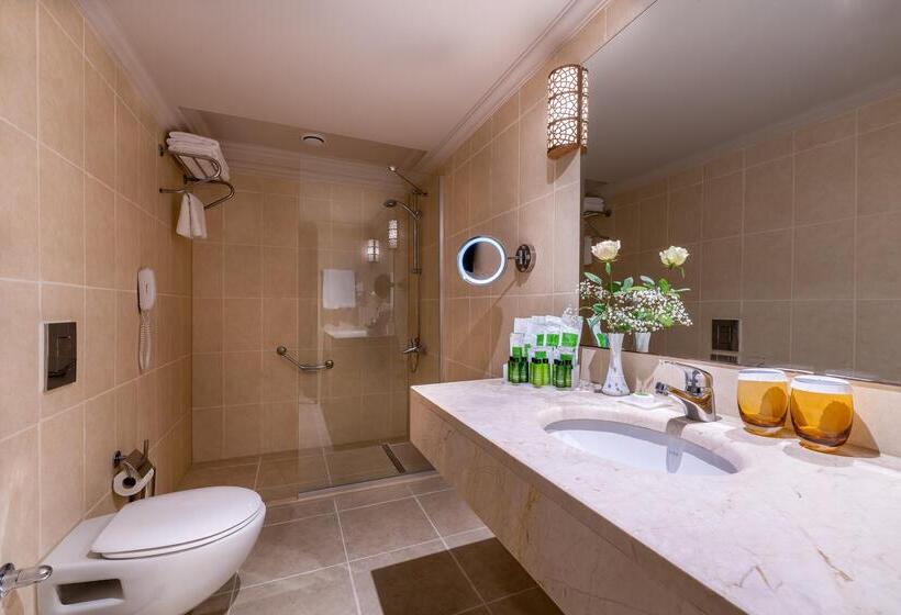 Семейный Номер, Rixos Park Belek, The Land of Legends Access