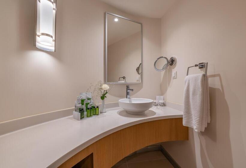 Семейный Номер, Rixos Park Belek, The Land of Legends Access