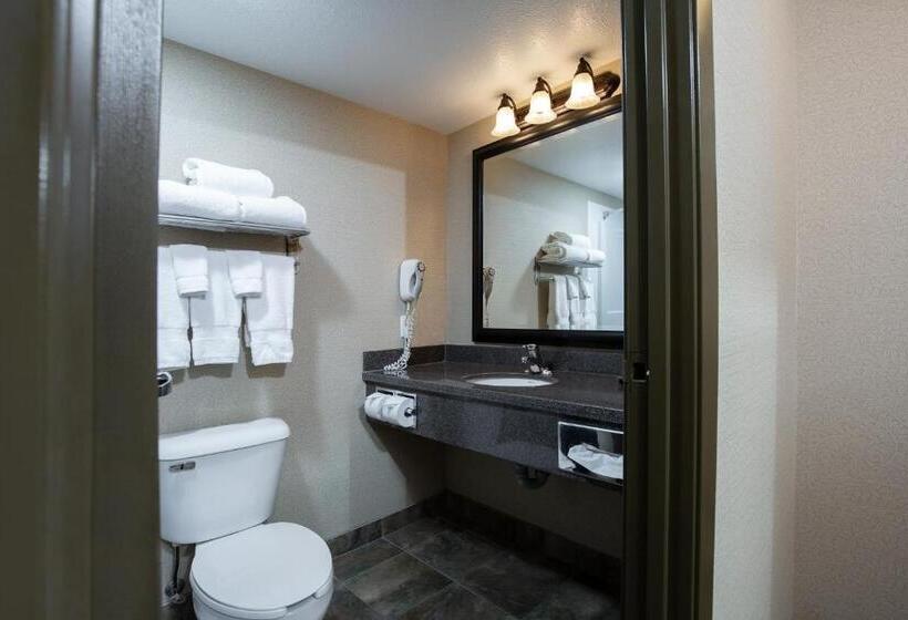 Студия Стандарт, Pomeroy Hotel Fort St. John