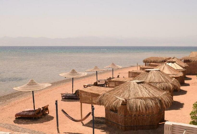 اتاق استاندارد با چشم‌انداز دریا, Abo Hamada Azure Camp