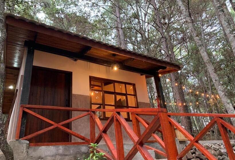 اتاق لوکس, Cotan Ecolodge