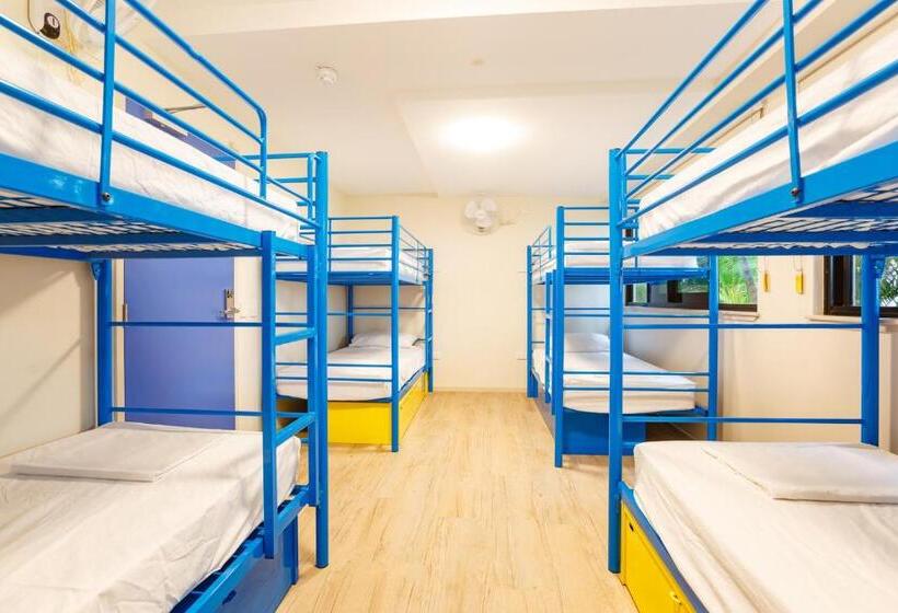 Säng i Delat Rum, Global Backpackers Cairns