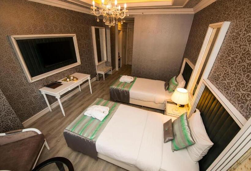 اتاق استاندارد, Manesol Old City Bosphorus