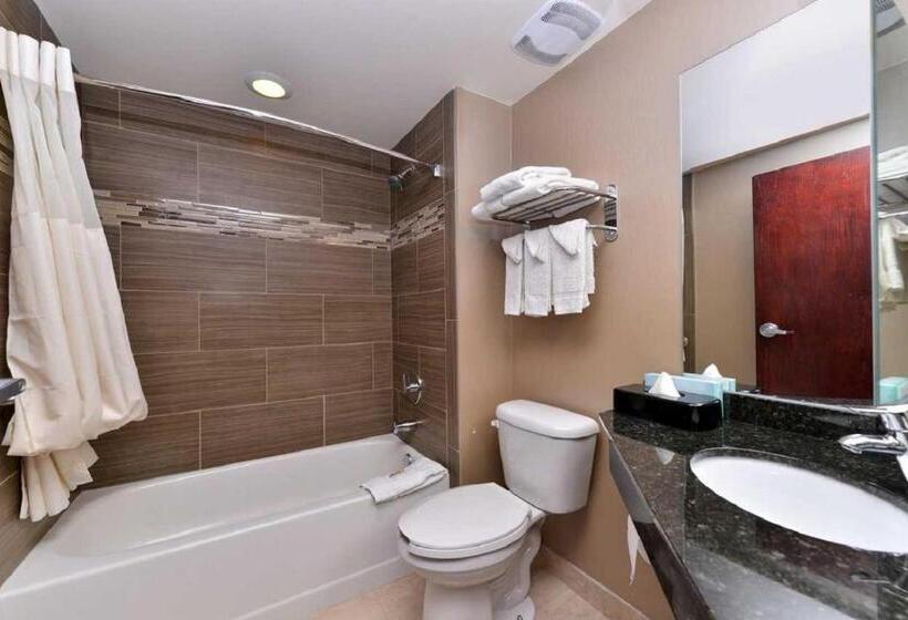 キングサイズベッドのスタンダードルーム, Quality Inn & Suites Matteson Near I57