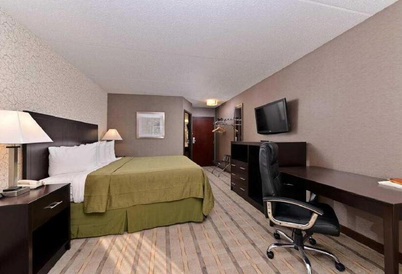 キングサイズベッドのスタンダードルーム, Quality Inn & Suites Matteson Near I57
