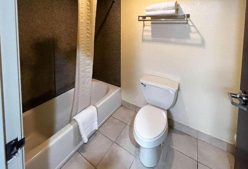 Номер Стандарт, Executive Inn & Suites Breaux Bridge, La