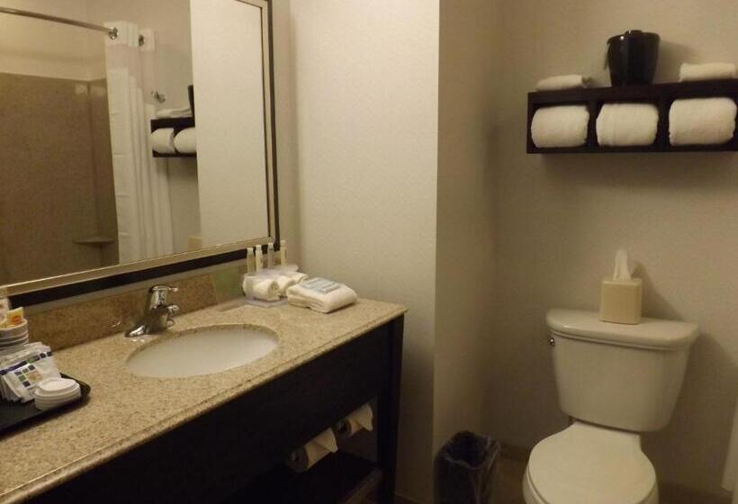 스탠다드 룸 킹사이즈 침대, Holiday Inn Express Pittsburgh   Munhall, An Ihg
