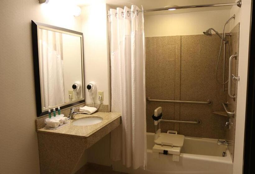 장애인을 위한 킹사이즈 침대 스탠다드 룸, Holiday Inn Express Pittsburgh   Munhall, An Ihg