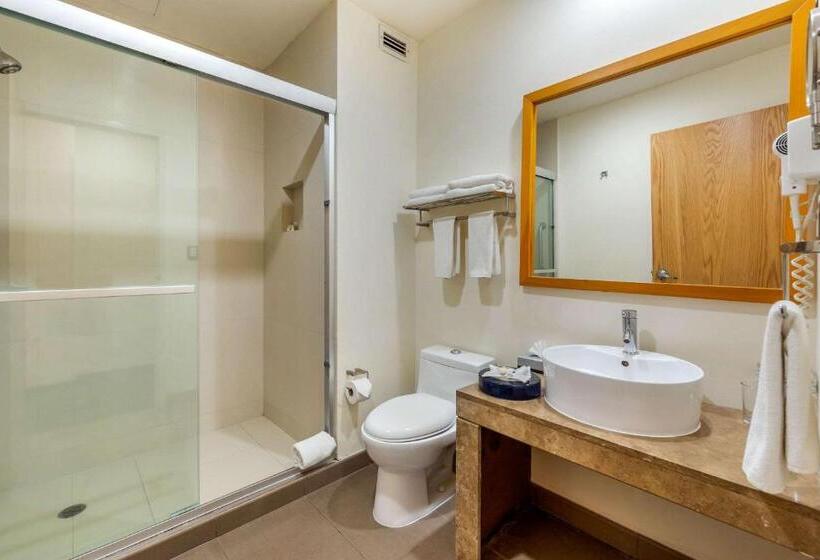 스탠다드 룸, Greenwood Hotel Torreón