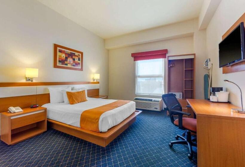 스탠다드 룸, Greenwood Hotel Torreón