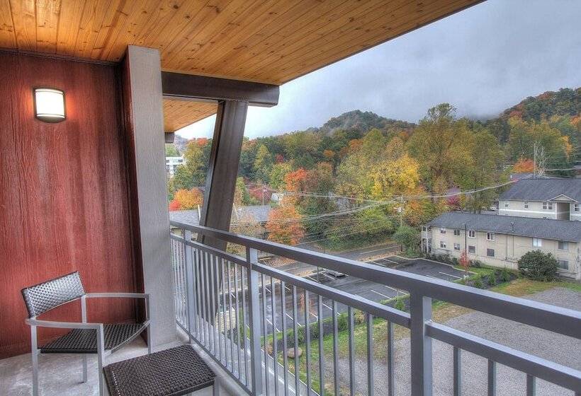 Studio Standard, Courtyard By Marriott Gatlinburg Downtown