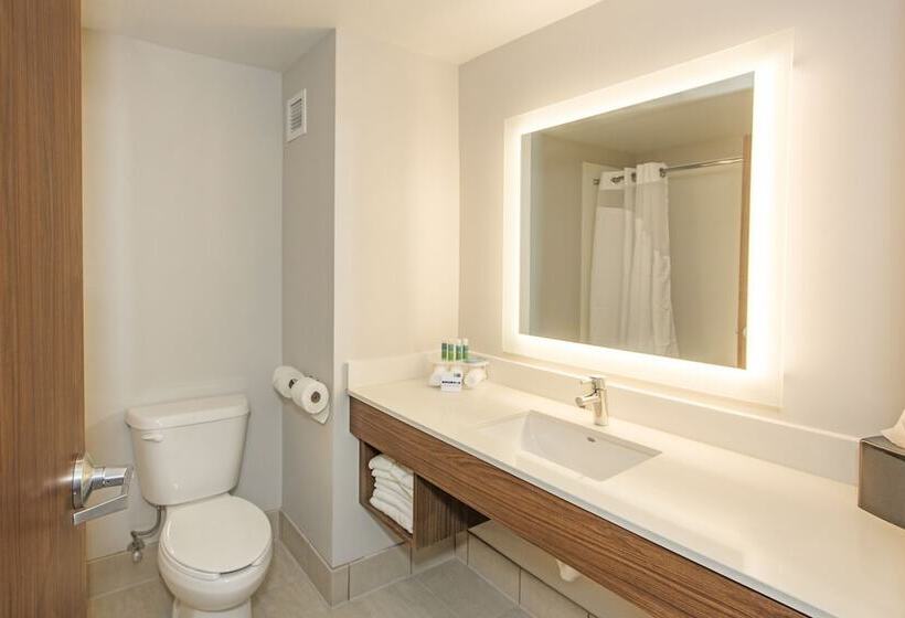 Люкс Адаптированный для Инвалидов, Holiday Inn Express & Suites Pittsburgh North Shore, An Ihg