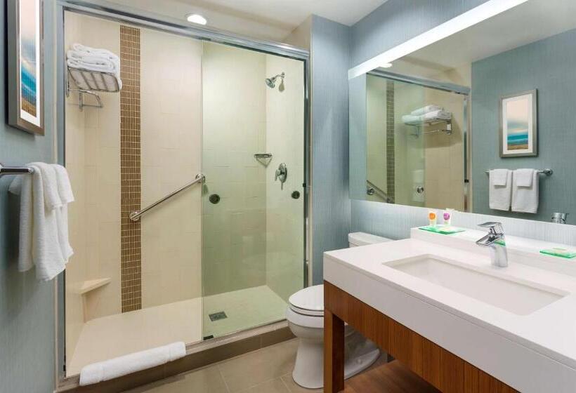 스탠다드 룸 킹사이즈 침대, Hyatt Place Chicago/downtown The Loop