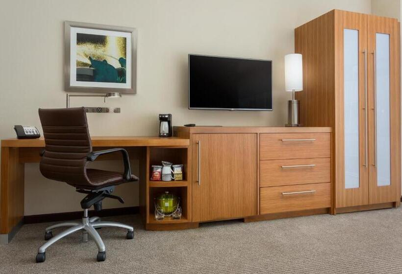 Standard Værelse King Size Seng, Hyatt Place Chicago/downtown   The Loop