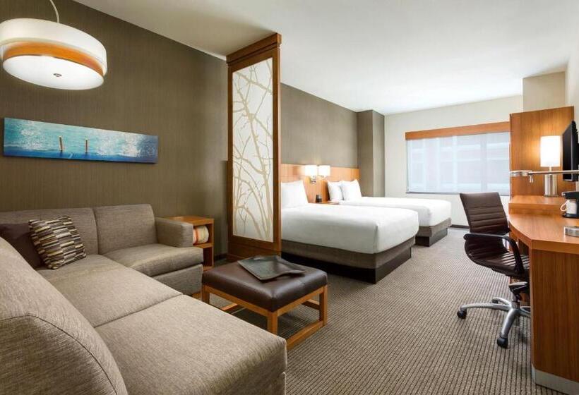 스탠다드 전망 룸, Hyatt Place Chicago/downtown The Loop