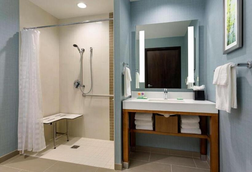 장애인을 위한 스탠다드 룸, Hyatt Place Chicago/downtown The Loop