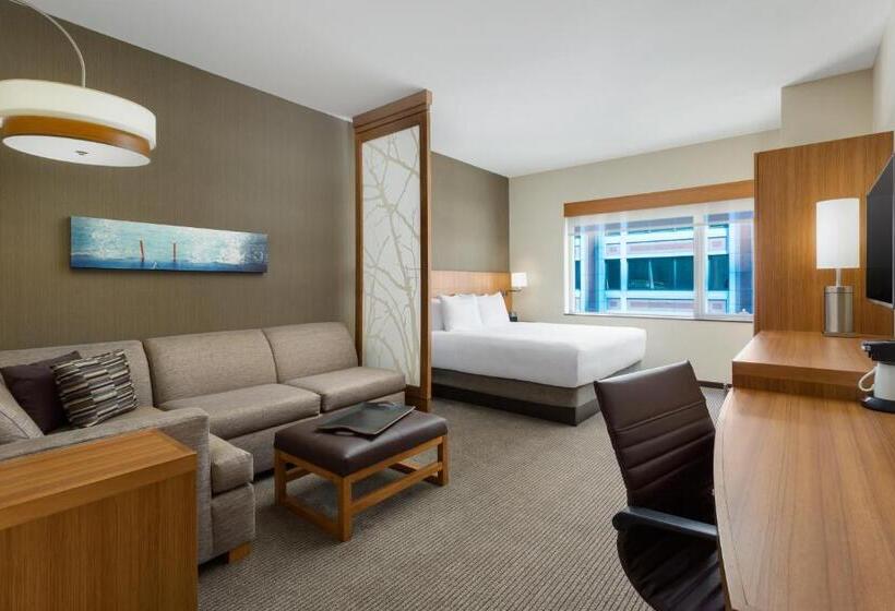 Standard Værelse Tilpasset til Handicappede, Hyatt Place Chicago/downtown   The Loop