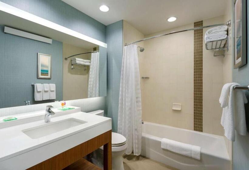 스탠다드 룸 킹사이즈 침대, Hyatt Place Chicago/downtown The Loop