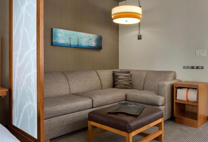 Standard Værelse Tilpasset til Handicappede, Hyatt Place Chicago/downtown   The Loop