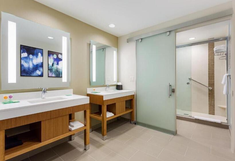 Standard Værelse King Size Seng, Hyatt Place Chicago/downtown   The Loop