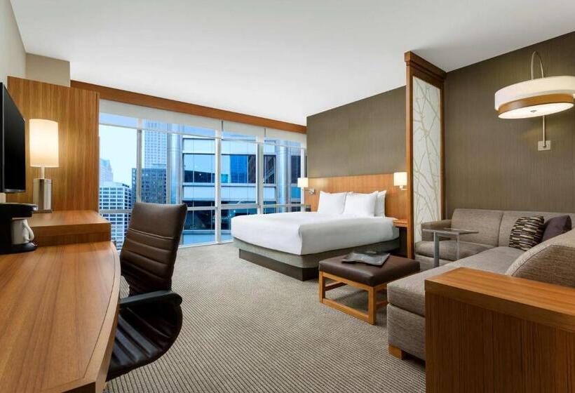 스탠다드 룸 킹사이즈 침대, Hyatt Place Chicago/downtown The Loop