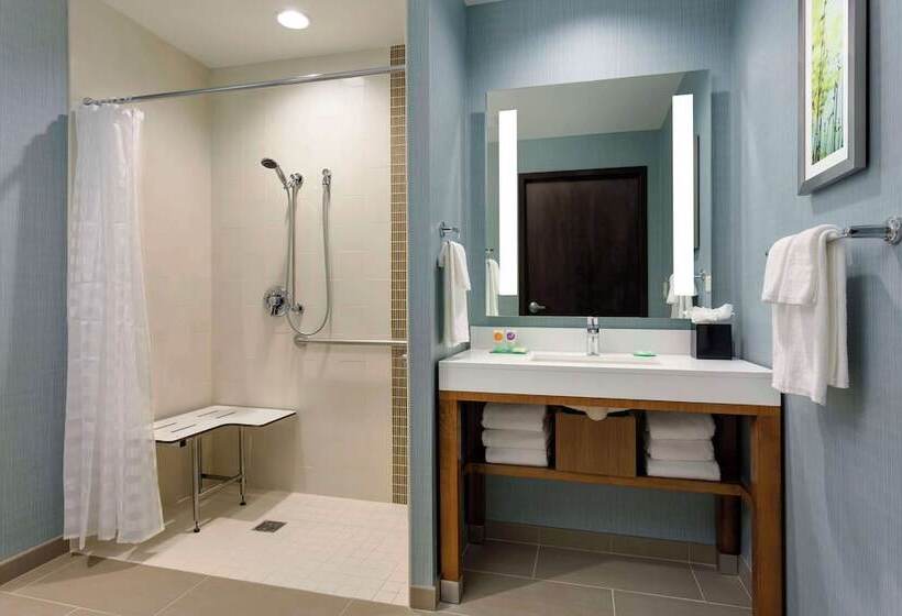 Standard Værelse Tilpasset til Handicappede, Hyatt Place Chicago/downtown   The Loop