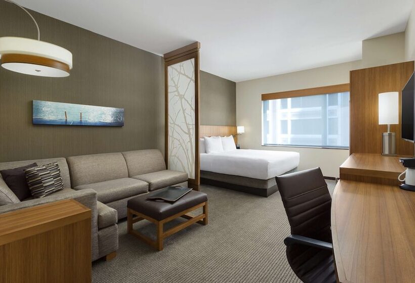 Standard Værelse Tilpasset til Handicappede, Hyatt Place Chicago/downtown   The Loop