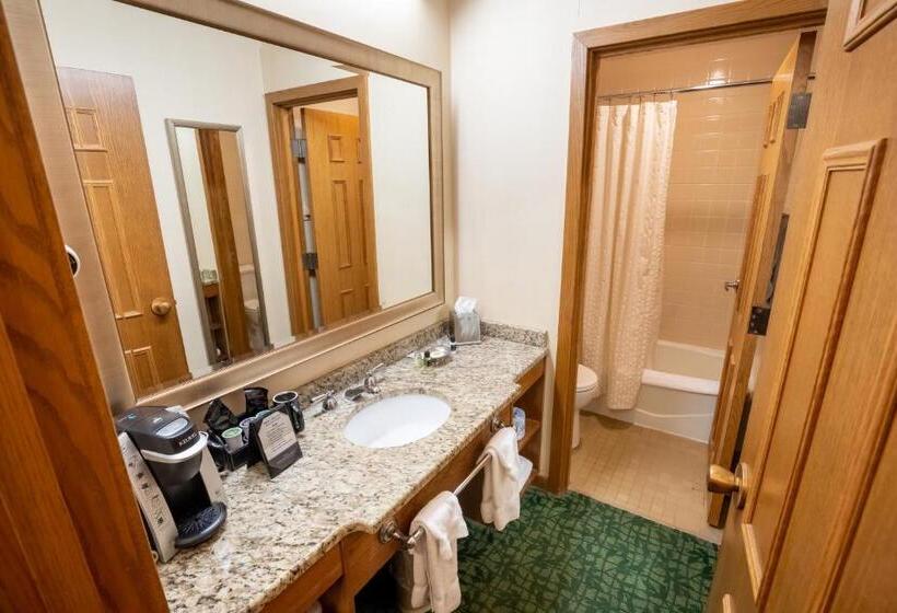 Номер Deluxe, Oglebay Resort