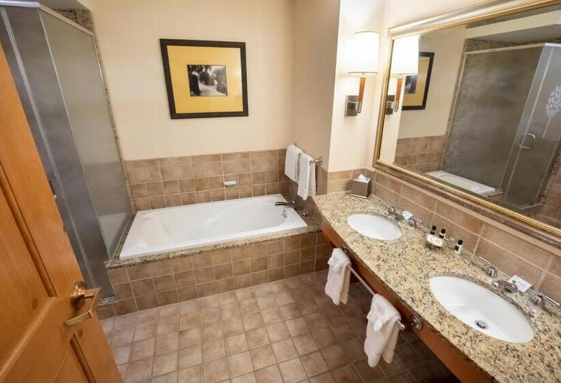 Номер Стандартный Кровать Куин, Oglebay Resort