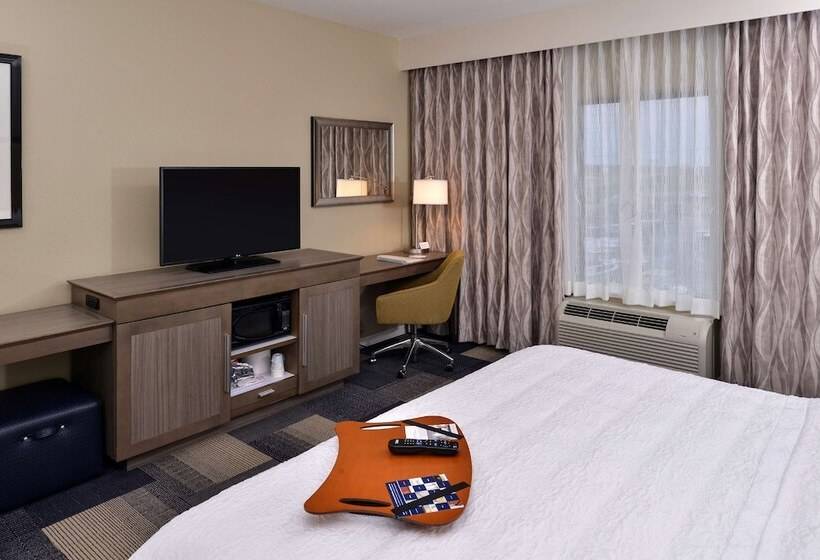 스탠다드 룸 킹사이즈 침대, Hampton Inn Broussardlafayette Area