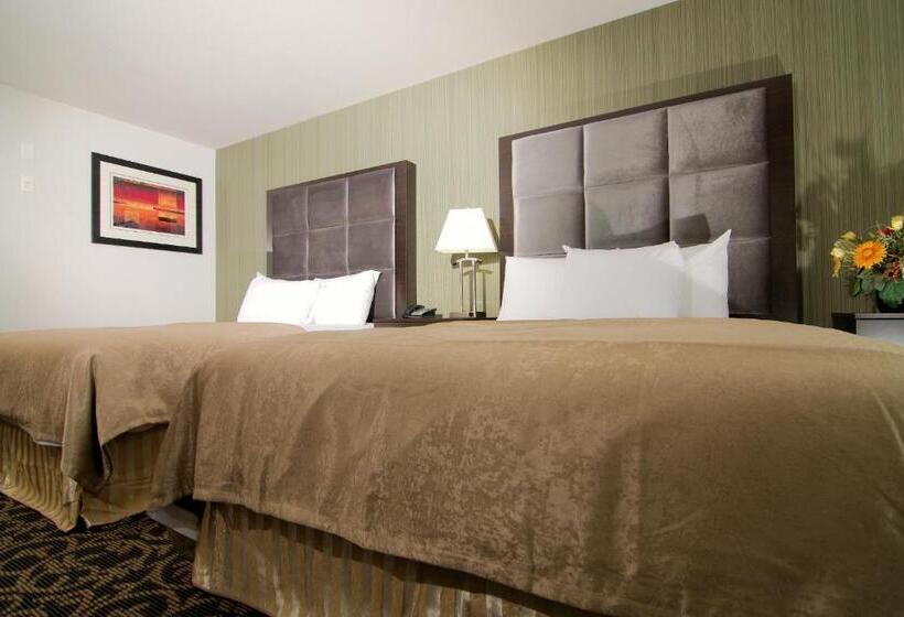 带皇后床的套间, Paradise Inn And Suites Redwater