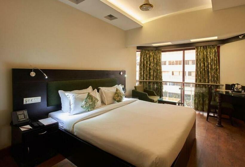 اتاق اجرایی, The Oasis  Vadodara