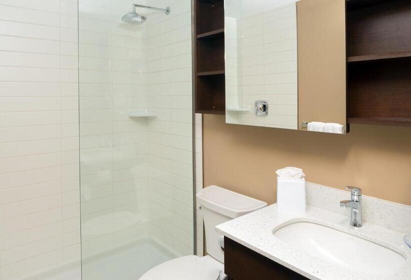 Студия Стандарт, Microtel Inn & Suites By Wyndham Red Deer