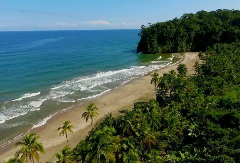 Номер Стандарт, Rain Forest Lodge Playa Jaguar Panama