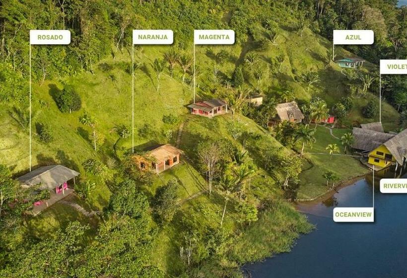 Номер Стандарт, Rain Forest Lodge Playa Jaguar Panama