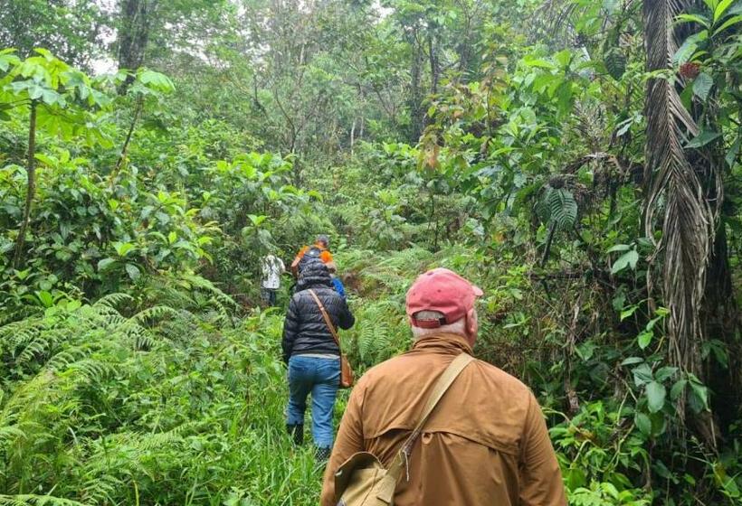 Номер Стандарт, Rain Forest Lodge Playa Jaguar Panama
