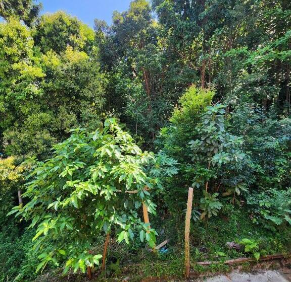 Трехместный Номер Стандарт Совместная Ванная, Sweet View Guesthouse