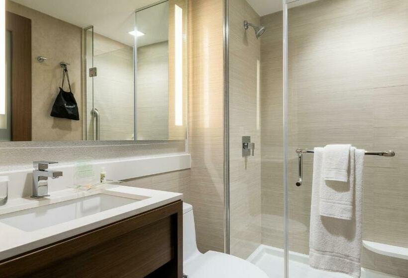 标准间, Holiday Inn Brooklyn Downtown, An Ihg