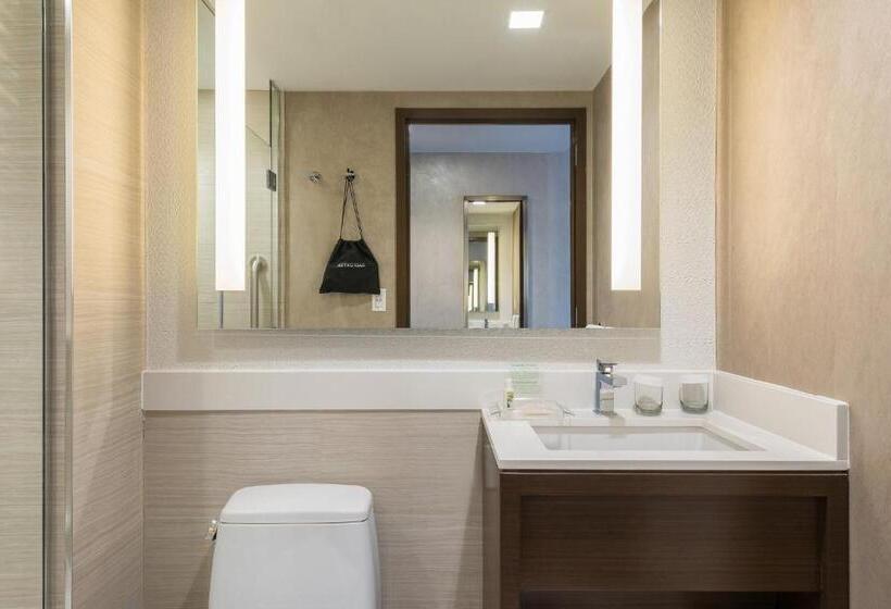 适合残疾人士使用的带超级大床的标准间, Holiday Inn Brooklyn Downtown, An Ihg