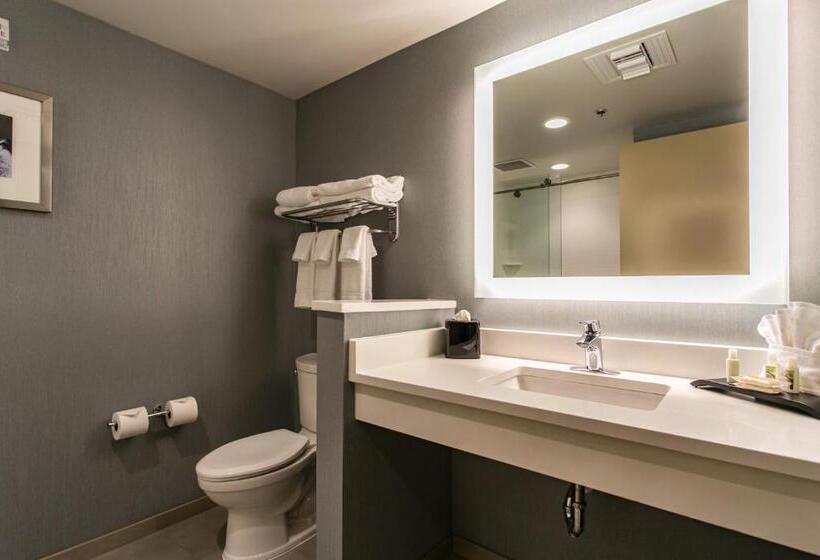 Номер Стандарт, Holiday Inn Hotel & Suites Chattanooga, An Ihg