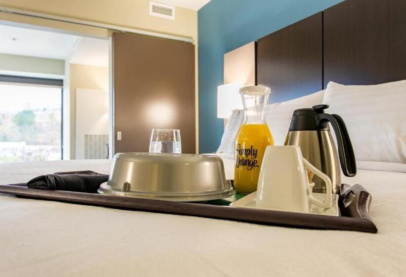 Номер Стандарт Кровать Кинг Адаптированный для Инвалидов, Holiday Inn Hotel & Suites Chattanooga, An Ihg