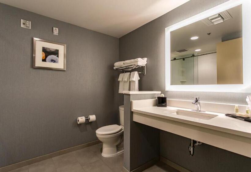 Номер Стандарт, Holiday Inn Hotel & Suites Chattanooga, An Ihg
