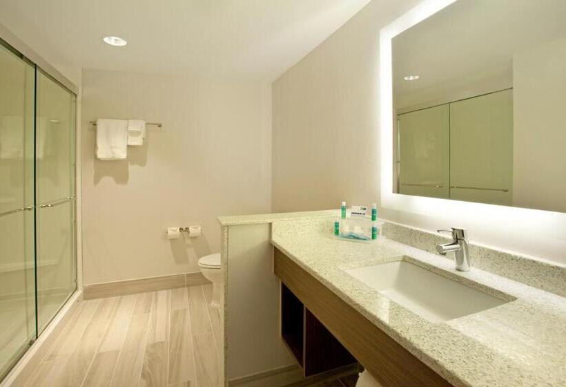 Номер Deluxe Адаптированный для Инвалидов, Holiday Inn Express Hotel & Suites Austin Downtown   University, An Ihg