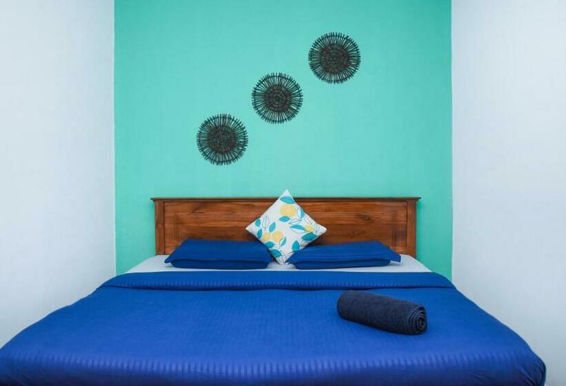 اتاق استاندارد با تخت بزرگ, Gregory House Hostel