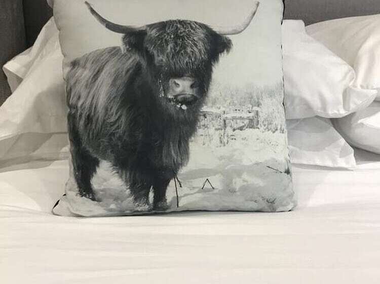 Номер Superior, The Bulls Head