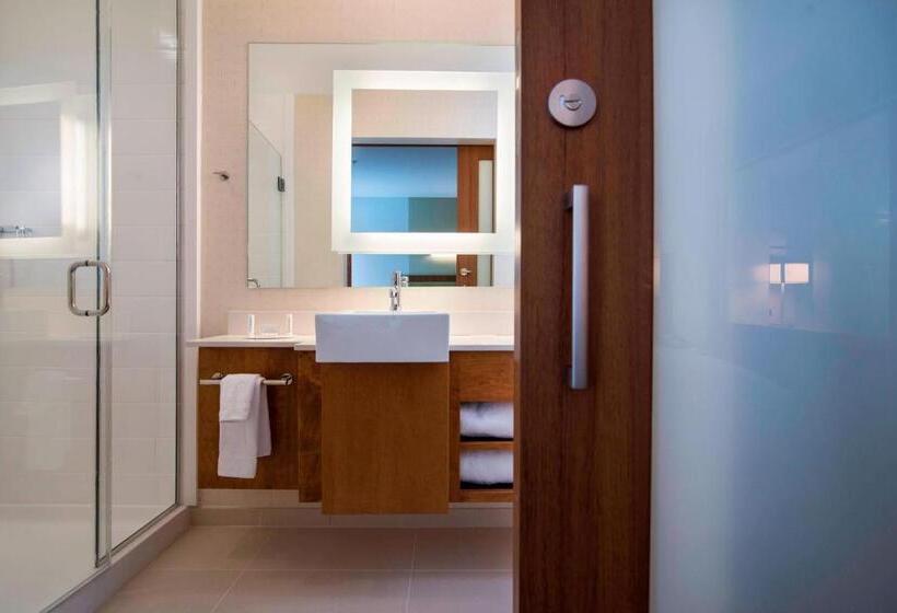 Люкс Deluxe Кровать Кинг, Springhill Suites By Marriott Wisconsin Dells