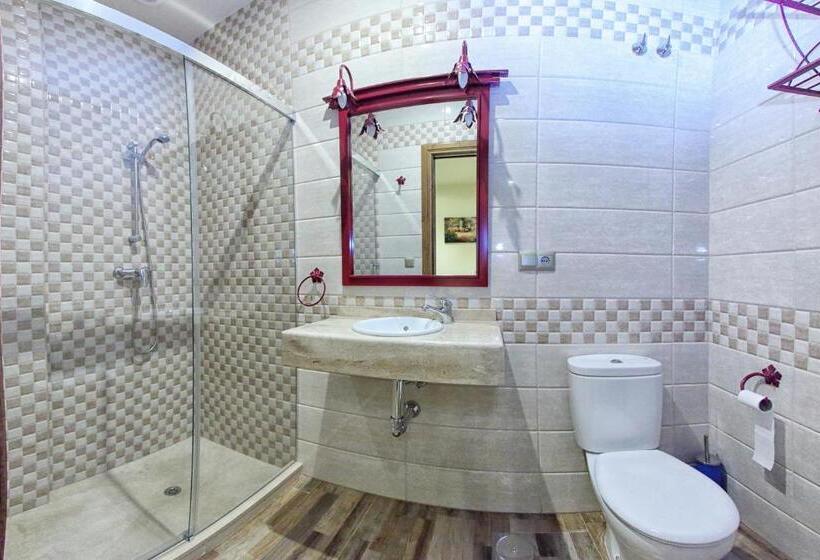 Номер Стандарт, Hostal Garlu
