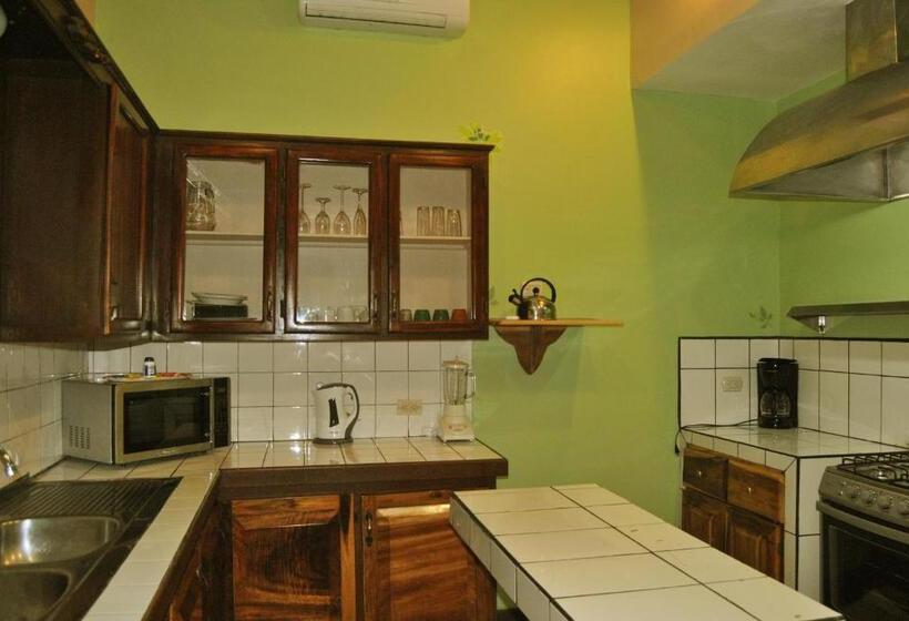 سوییت, Jungle Beach Hotel Manuel Antonio