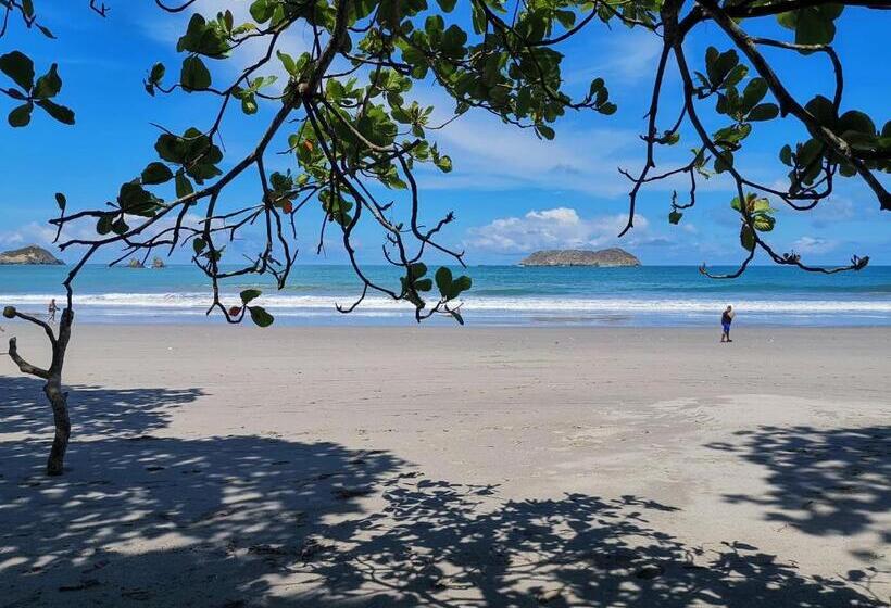 ویلای 1 خوابه, Jungle Beach Hotel Manuel Antonio